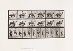 Talíř 653. Chůze; Sedlo; Kulhavý, pravá přední noha; Koňská kůže od Eadweard Muybridge