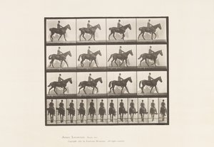 Talíř 655. Chůze; Sedlo; Spavin, pravá zadní noha; Kůň od Eadweard Muybridge