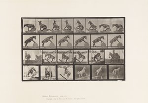 Talíř 660. Mule; Různá představení Denver od Eadweard Muybridge