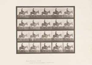 Talíř 666. Zadek; Chůze; Sedlo; Dívka na koni, Zoo od Eadweard Muybridge