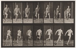 Talíř 66. Běh od Eadweard Muybridge