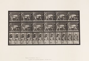 Talíř 677. Koza; Procházka v Sulkách od Eadweard Muybridge