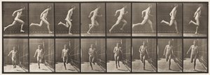 Deska 67. Běh, 1872-1885 od Eadweard Muybridge