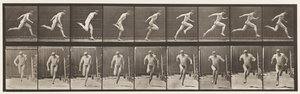 Deska 68. Běh, 1872-1885 od Eadweard Muybridge