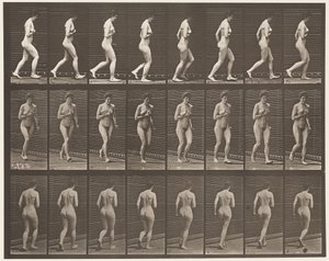 Talíř 70. Running., 1872-1885 od Eadweard Muybridge