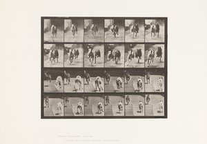 Talíř 711. Psi; Dva závodní; A, B; Závodní psi, Ike & Maggie od Eadweard Muybridge