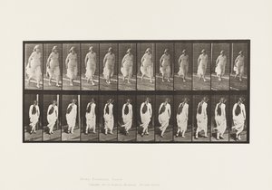 Deska 71.Běh, 1885 od Eadweard Muybridge