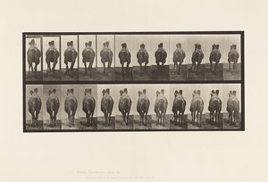 Talíř 741. Velbloud dvouhrbý; A, Chůze; B, Stojany od Eadweard Muybridge