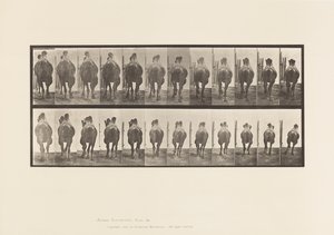 Talíř 742. Velbloud dvouhrbý; A, Regály; B, Cval od Eadweard Muybridge
