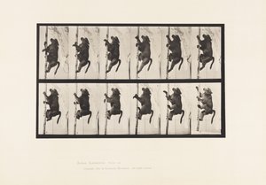 Talíř 749. Pavián; Lezení na pól od Eadweard Muybridge