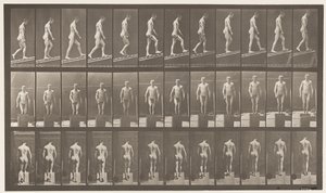 Deska 74. Vzestupný sklon, úhel 1:4 od Eadweard Muybridge