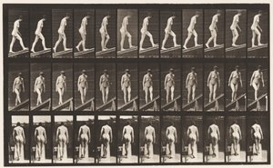 Deska 76. Vzestupný sklon od Eadweard Muybridge