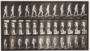 Deska 77. Vzestupný sklon od Eadweard Muybridge