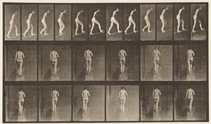 Deska 79. Vzestupný sklon od Eadweard Muybridge