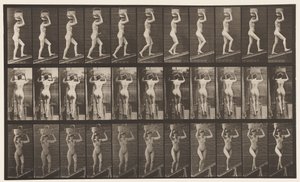 Deska 80. Vzestupný sklon od Eadweard Muybridge