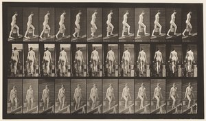 Deska 81. Vzestupný sklon. od Eadweard Muybridge