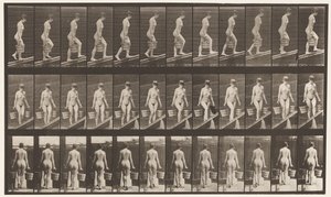 Talíř 82. Vzestupný sklon, vědro vody v každé ruce od Eadweard Muybridge