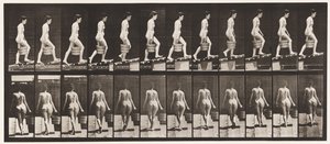 Talíř 83. Vzestupný sklon, vědro vody v pravé ruce od Eadweard Muybridge
