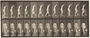 Talíř 84. Vzestupný sklon, vědro vody v pravé ruce od Eadweard Muybridge