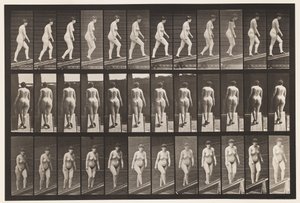 Deska 86. Vzestupný sklon od Eadweard Muybridge