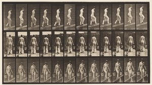 Talíř 87. Vzestupný sklon, vědro vody v každé ruce od Eadweard Muybridge