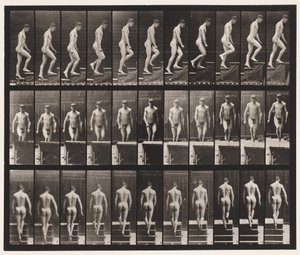 Deska 88. Vzestupné schody, 1872-1885 od Eadweard Muybridge