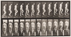 Talíř 89. Vzestupné schody od Eadweard Muybridge