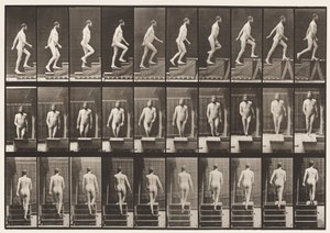 Talíř 90. Vzestupné schody od Eadweard Muybridge