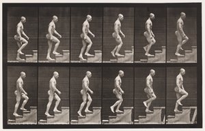 Talíř 91. Vzestupné schody od Eadweard Muybridge