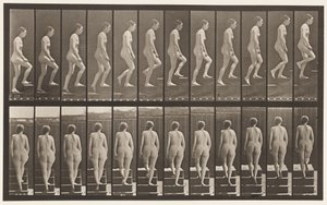 Talíř 92. Vzestupné schody od Eadweard Muybridge