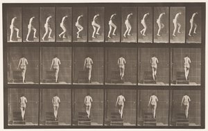 Talíř 93. Vzestupné schody od Eadweard Muybridge