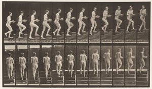 Talíř 94. Vzestupné schody Rozhlížení se; Umyvadlo v rukou od Eadweard Muybridge