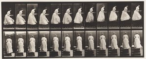 Talíř 95. Vzestupné schody, Umyvadlo v rukou, 1885 od Eadweard Muybridge