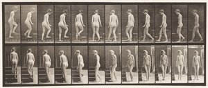 Deska 98. Otočné a stoupající schody, 1872-1885 od Eadweard Muybridge