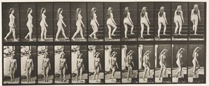 Talíř 99. Otočné a stoupající schody od Eadweard Muybridge
