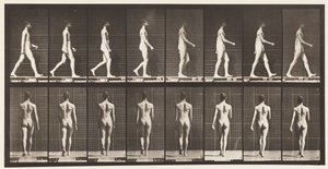 Talíř 9. Chůze, 1872-1885 od Eadweard Muybridge