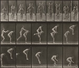  od Eadweard Muybridge