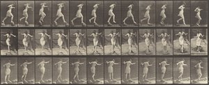 Číslo desky 175. Přechod potoka na nášlapných kamenech s rybářským prutem a plechovkou od Eadweard Muybridge