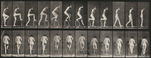 Talíř číslo 180. Stoupání na židli a přes ni od Eadweard Muybridge