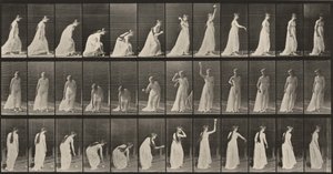 Tabule číslo 306. Zvedání míče a házení jím od Eadweard Muybridge