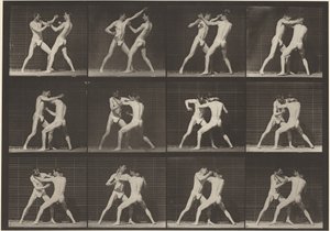 Číslo SPZ 340. Box, otevřená ruka (boty),1887 (foto) od Eadweard Muybridge
