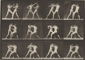 Číslo desky 340. Box, otevřená ruka (boty) od Eadweard Muybridge