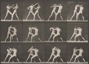 Tabule číslo 340. Box, otevřená ruka od Eadweard Muybridge