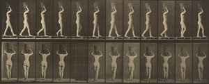 Číslo desky 34. Kráčející a nesoucí na hlavě 15librový koš, ruce zdvižené, 1887 (foto) od Eadweard Muybridge