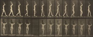 Talíř číslo 34. Chůze a nošení 15-lb. košík na hlavě, ruce zvednuté od Eadweard Muybridge