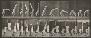Deska číslo 371. Acrobat, vertikální "lisování",1887 (foto) od Eadweard Muybridge