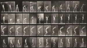 Tabule číslo 488. A: Tenis na trávě. B: Činky. C: Chůze po rukou. D: Chůze do schodů od Eadweard Muybridge