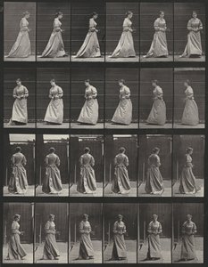 Tabule číslo 48. Chůze a otáčení s kyticí v obou rukou od Eadweard Muybridge