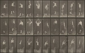 Číslo desky 504. Vzestupné a sestupné schody od Eadweard Muybridge