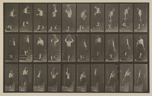 Číslo desky 504. Vzestupné a sestupné schody od Eadweard Muybridge